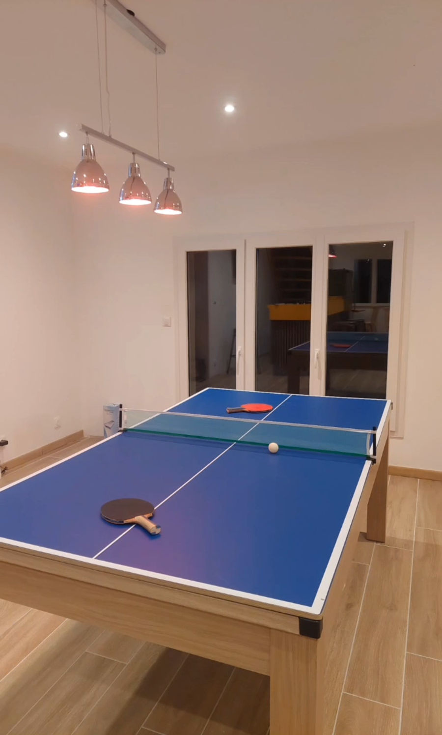 Table de ping-pong